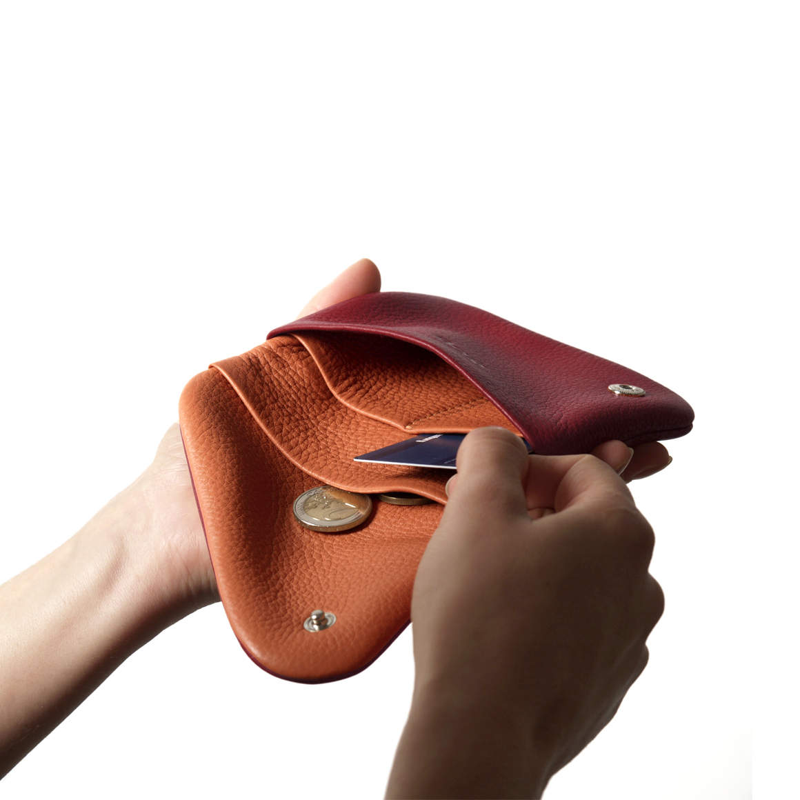 Pago L wallet in Softnappa