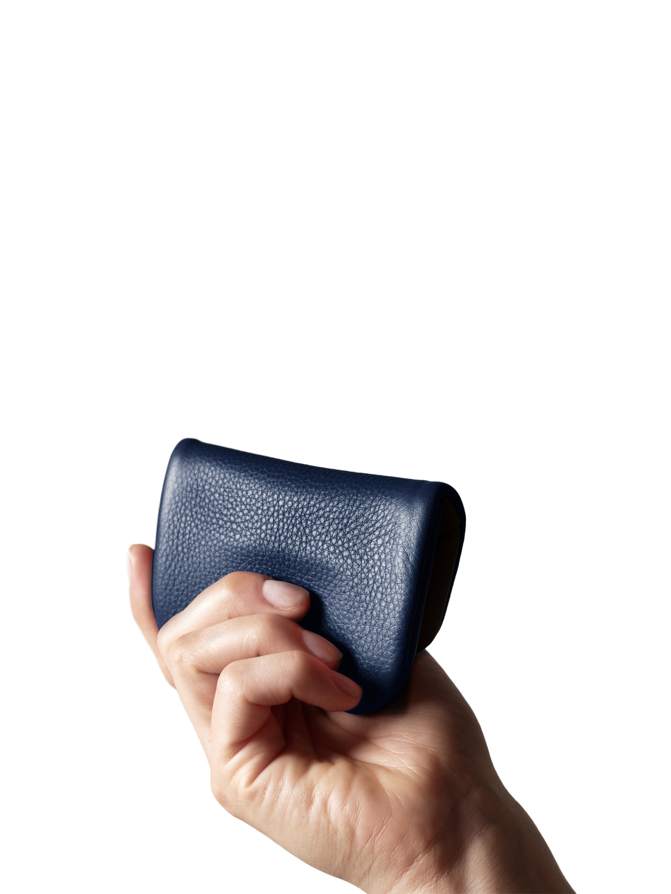 Pago S wallet in Softnappa