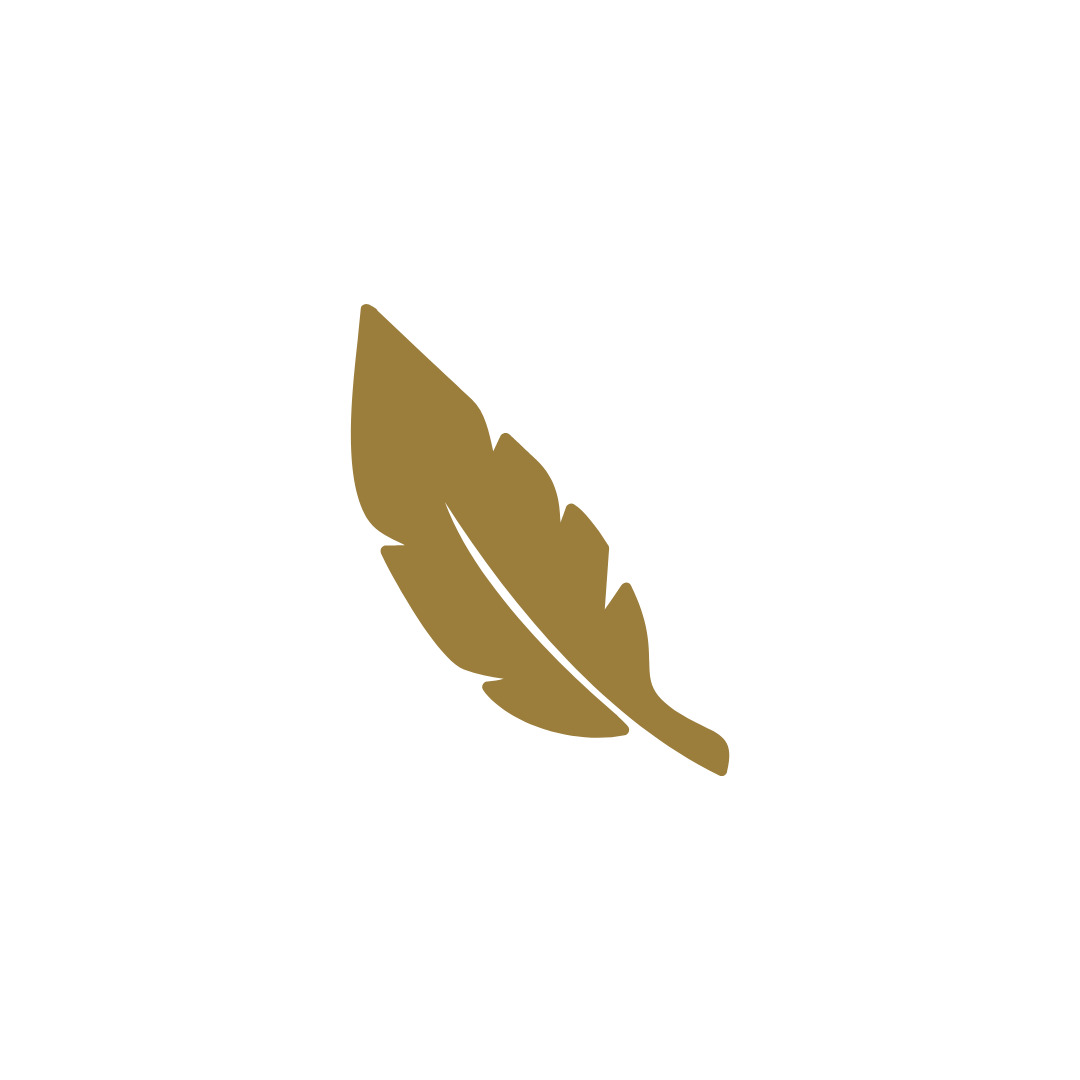 Icon Feder